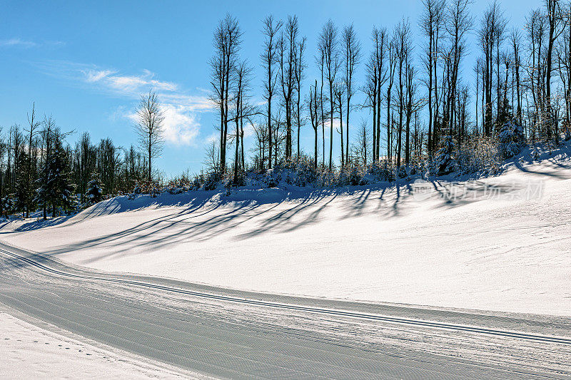 冬季场景与越野滑雪轨道上
Primorska, Vojsko，斯洛文尼亚，Julian Alps，欧洲